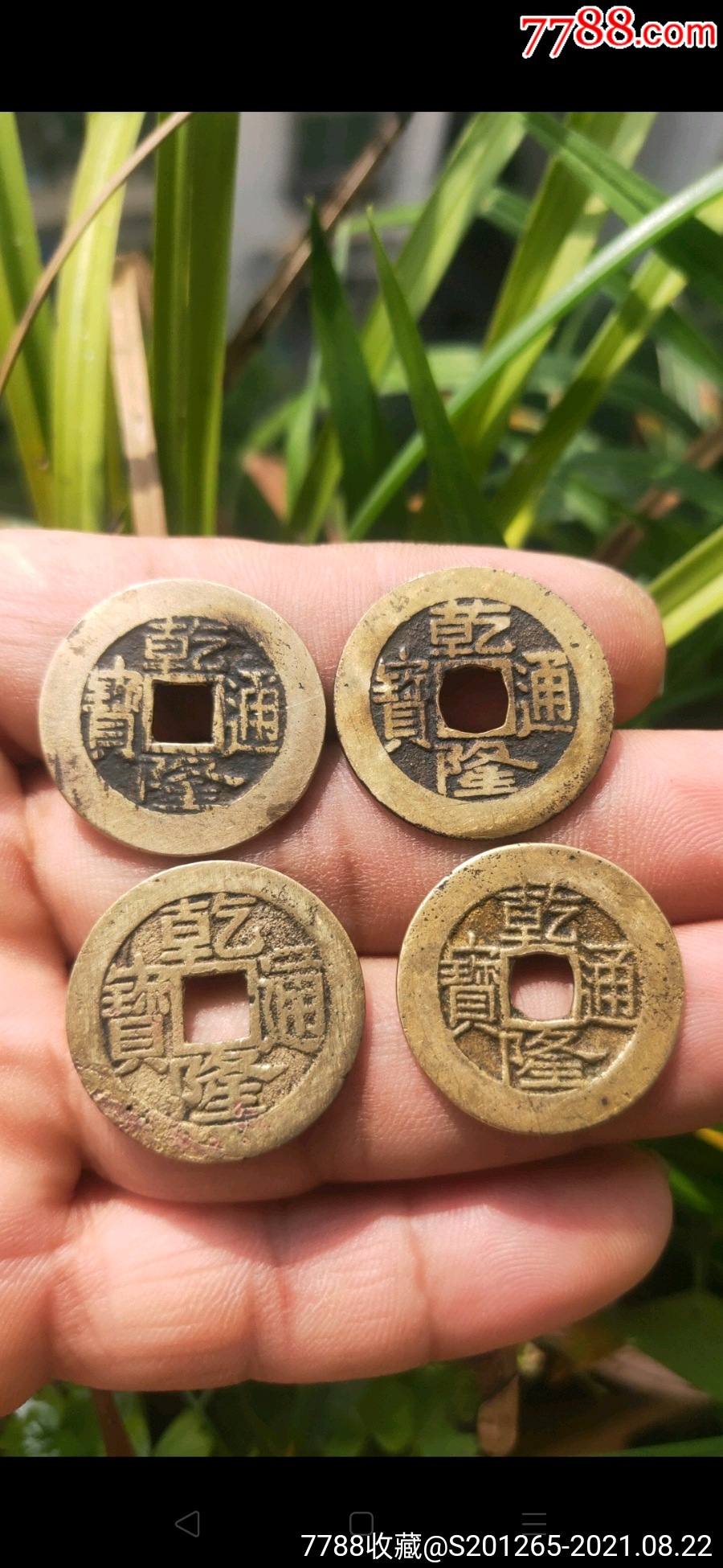 乾隆通宝中样一组合拍