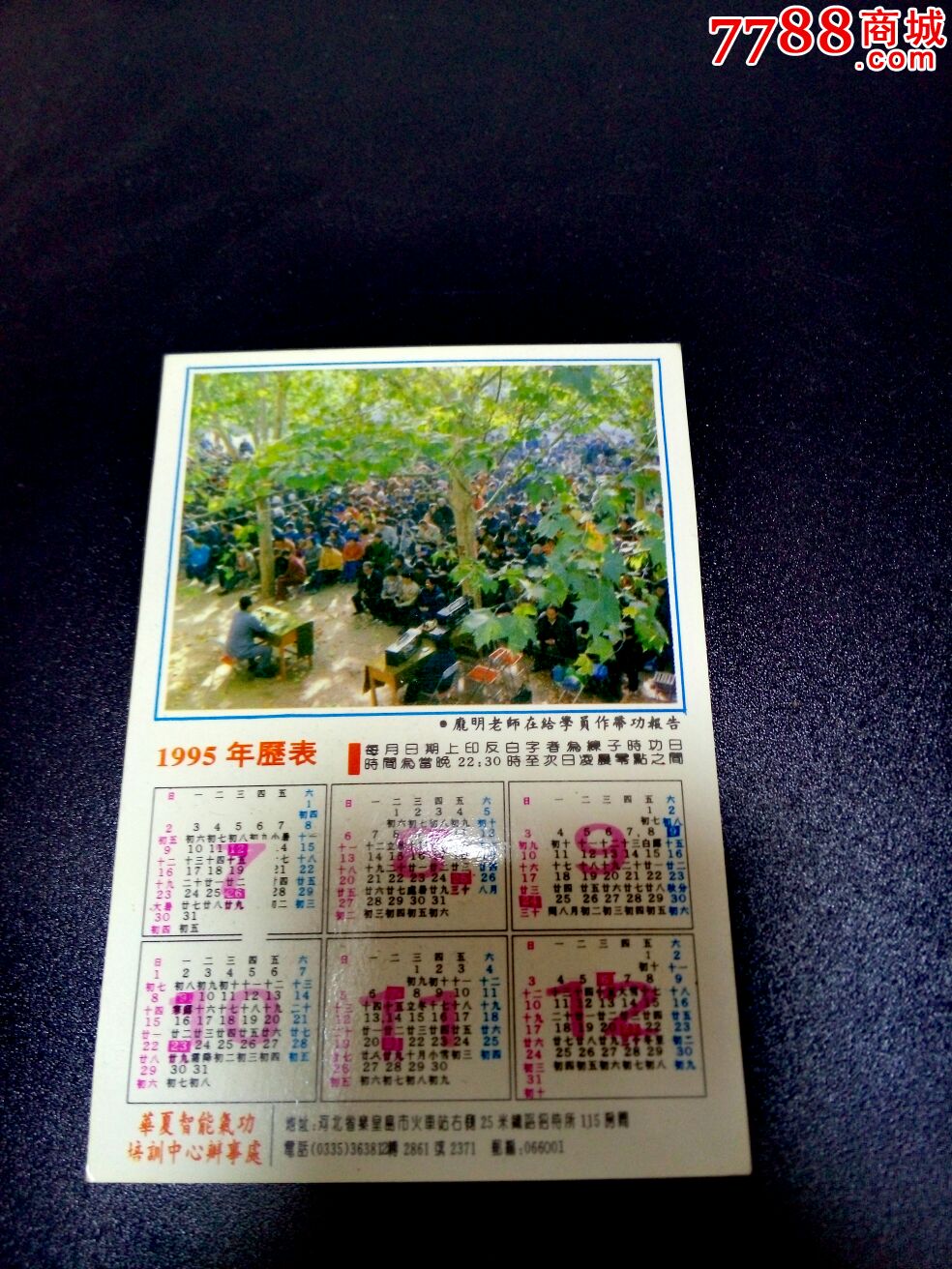 庞明老师1995年历表图片