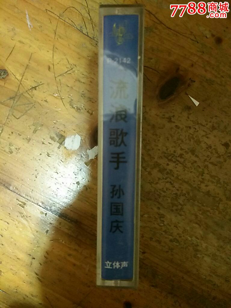 流浪歌手孙国庆