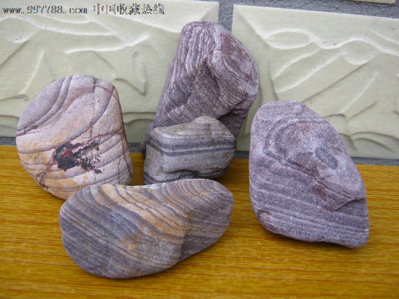 水冲木化石特点图片