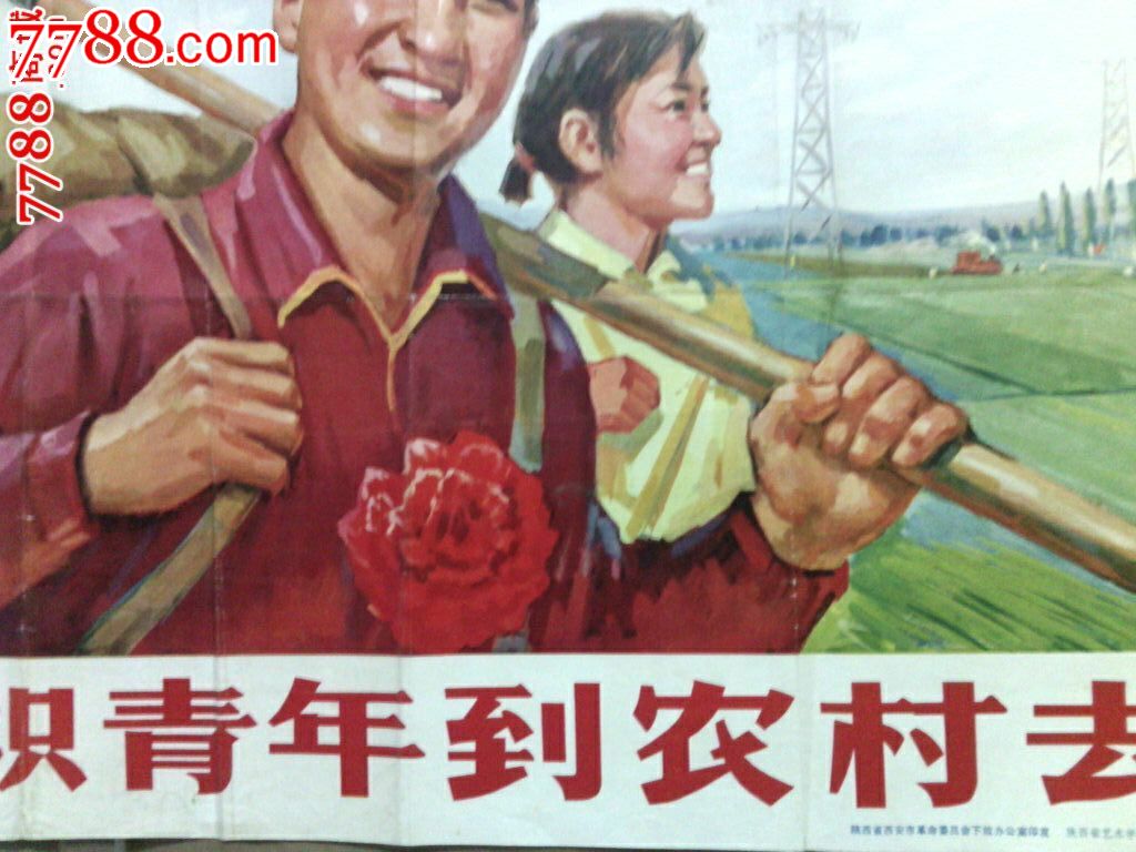 知识青年到农村去