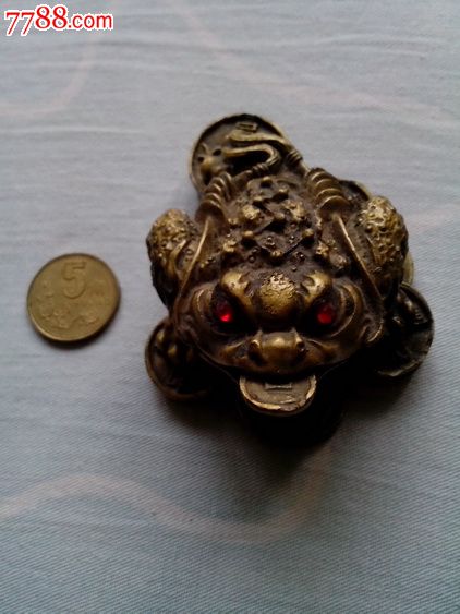 金钱蛙