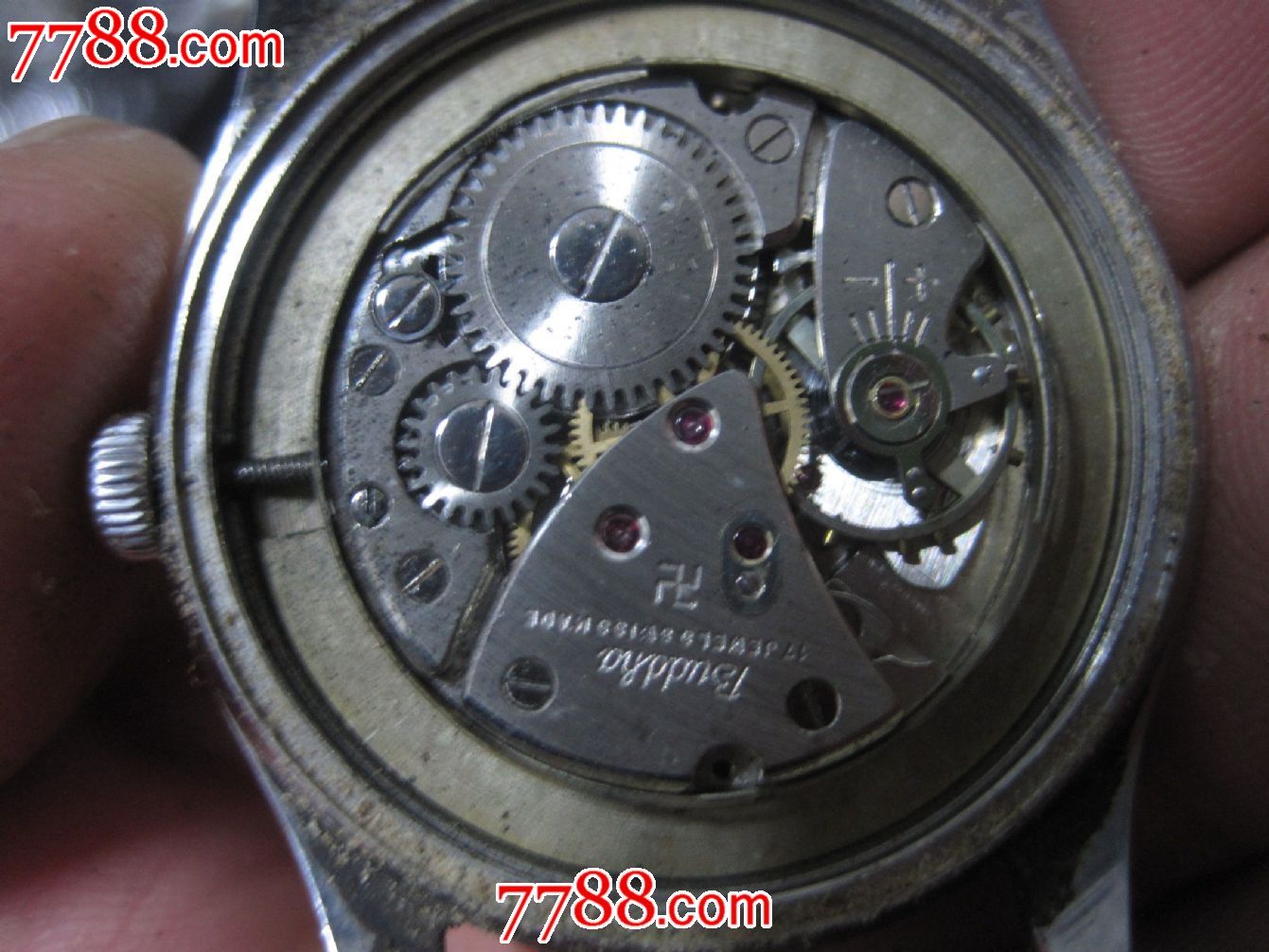 瑞士buddha卍佛祖表,手表/腕表,机械,五十年代(20世纪),其他国外品牌