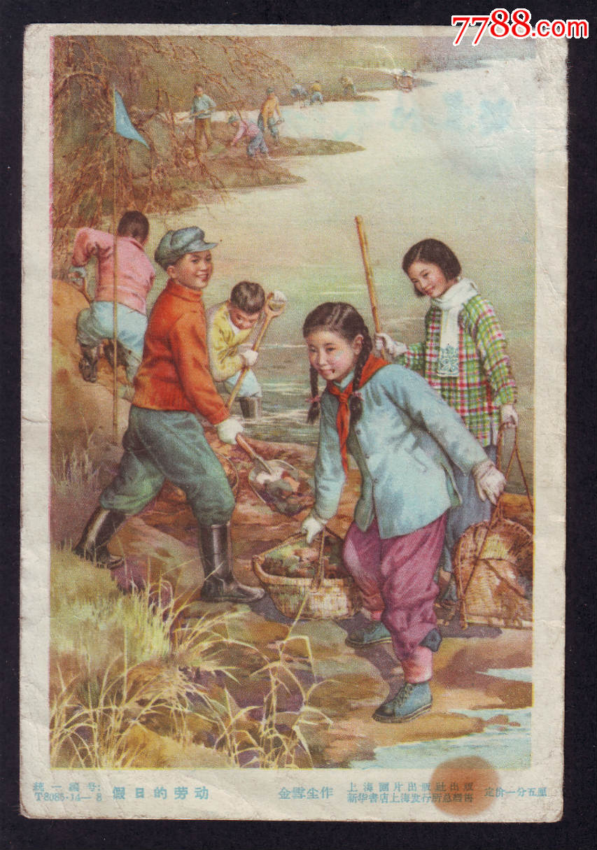 假日的劳动,明信片/邮资片,无资/空白明信片,五十年代(20世纪),普通